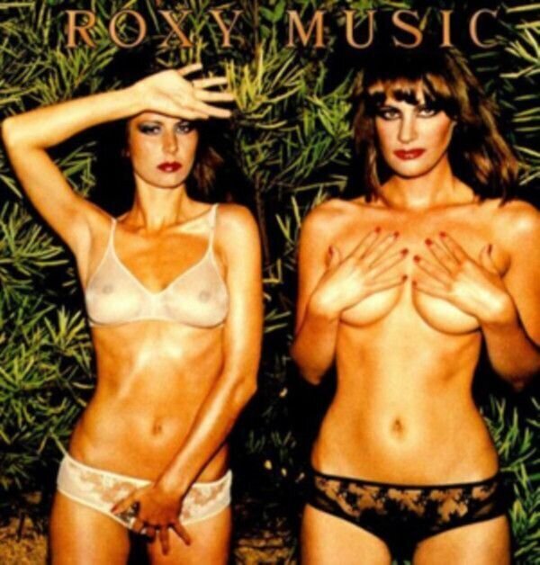 Disque vinyle Roxy Music - Country Life (LP)