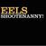 Vinyylilevy Eels - Shootenanny! (LP)