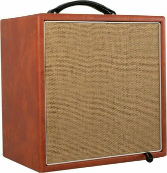 Combo for Acoustic-electric Guitar Recording King AR-A60 - 1