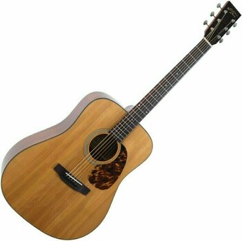 Guitare acoustique Recording King RD-T16 Natural - 1