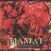 Płyta winylowa Tiamat - Gaia (Reissue) (LP)
