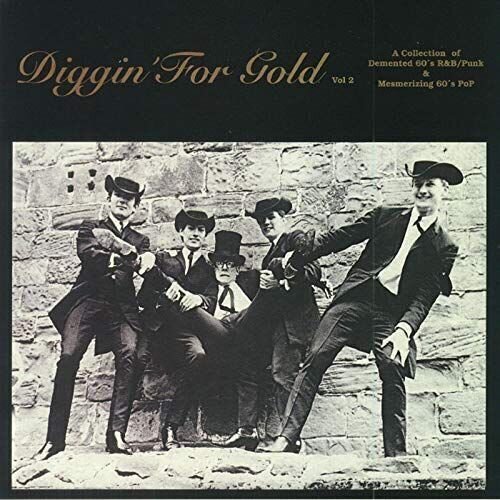 Vinyl Record Various Artists - Diggin’ For Gold Volume 2 (LP)