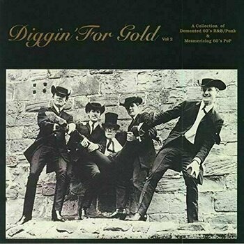 Vinyl Record Various Artists - Diggin’ For Gold Volume 2 (LP) - 1
