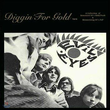 Vinyylilevy Various Artists - Diggin’ For Gold Volume 6 (LP) - 1