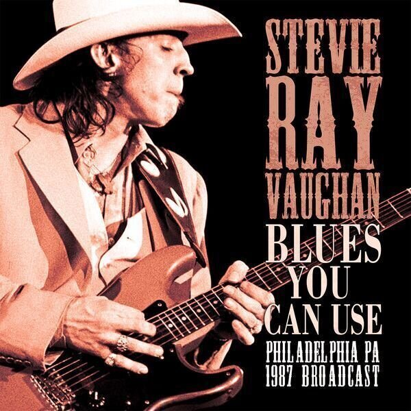 Zenei CD Stevie Ray Vaughan - Blues You Can Use (CD)