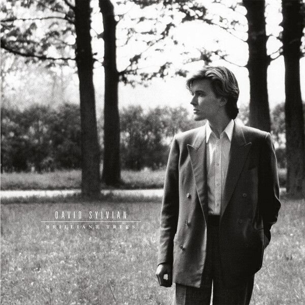 Vinyylilevy David Sylvian - Brilliant Trees (LP)