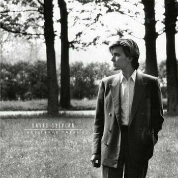 Vinyylilevy David Sylvian - Brilliant Trees (LP) - 1