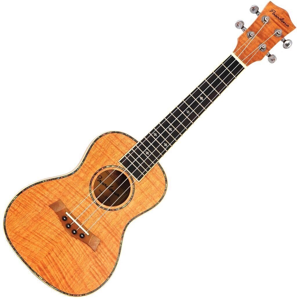 Pasadena SU504 Koncertní ukulele Natural