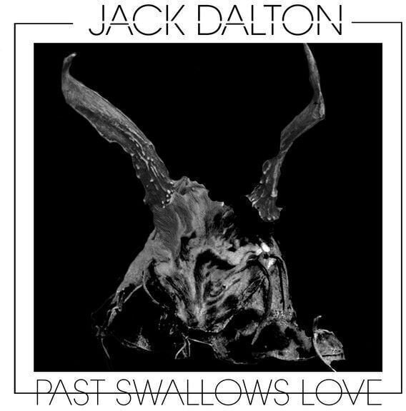 Płyta winylowa Jack Dalton - Past Swallows Love (LP)