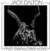 Vinylskiva Jack Dalton - Past Swallows Love (LP)