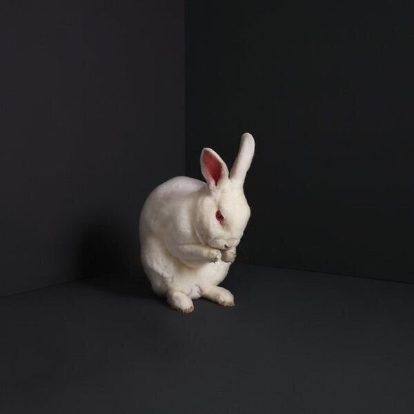 LP plošča Brume - Rabbits (LP)