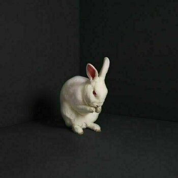 Грамофонна плоча Brume - Rabbits (LP) - 1