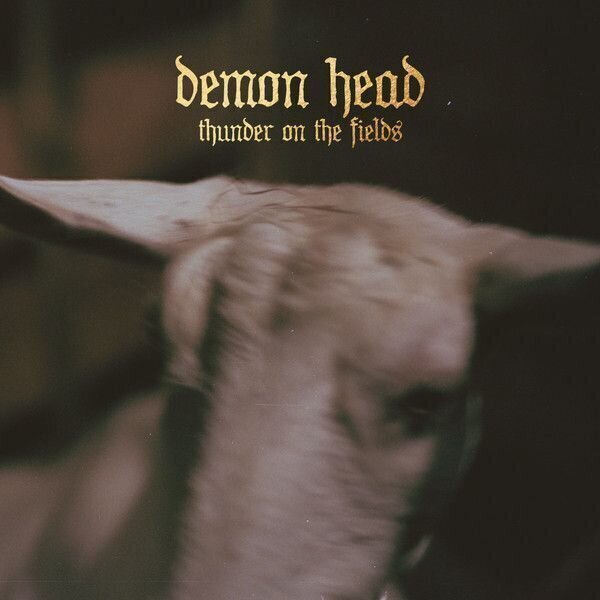 LP platňa Demon Head - Thunder On The Fields (LP)