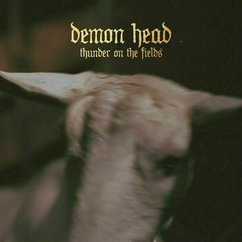 LP Demon Head - Thunder On The Fields (LP) - 1