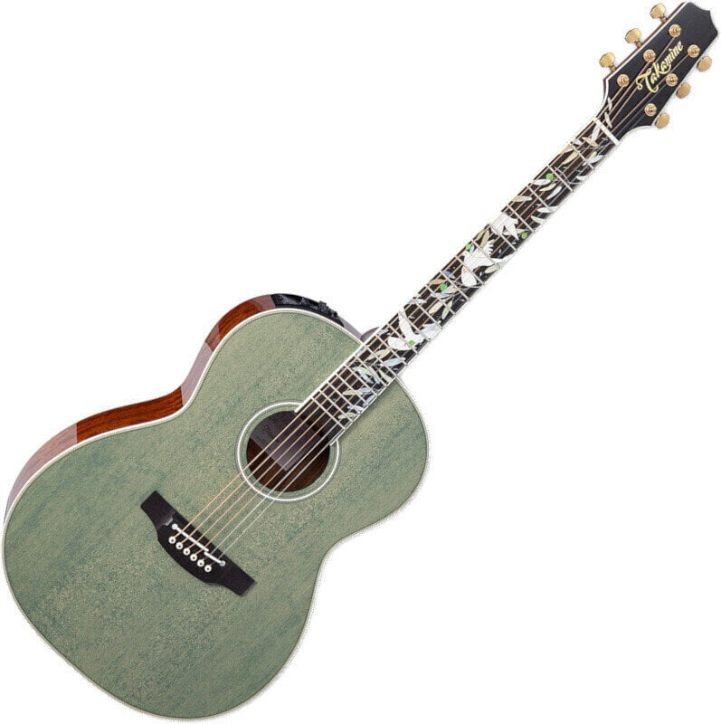 Electro-acoustic guitar Takamine LTD2020 Peace Green Tea