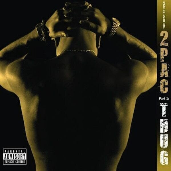 Glasbene CD 2Pac - The Best Of 2Pac Part.1 Thug (CD)