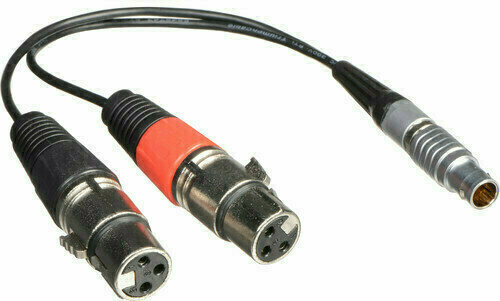 Connecteur vidéo Atomos XLR Breakout Cable Input Only - 1