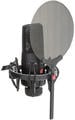 sE Electronics X1 S Studio Condenser Microphone