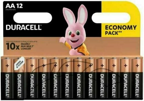 AA Batteries Duracell Basic 12 - 1