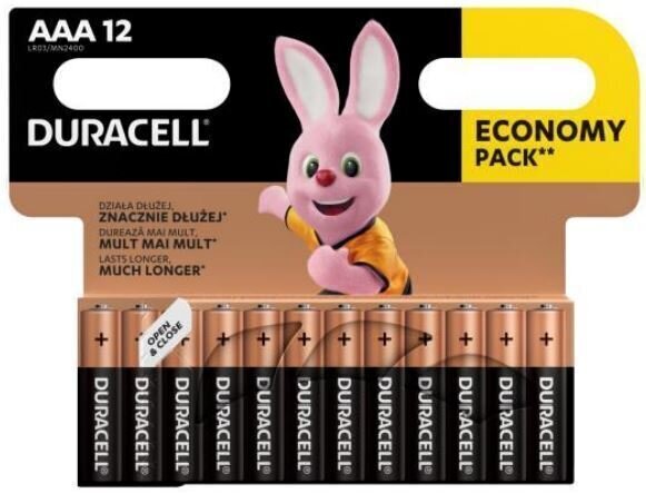 AAA Batterien Duracell Basic 12