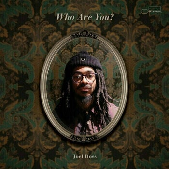 Vinyl Record Joel Ross - Who Are You? (2 LP) - 1