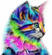 Gaira Malowanie po numerach Kotek kot