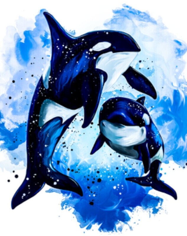 Schilderen op nummer Gaira Schilderen met nummers Killer Whales