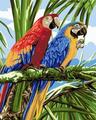 Gaira Barvanje po številkah Papagaji