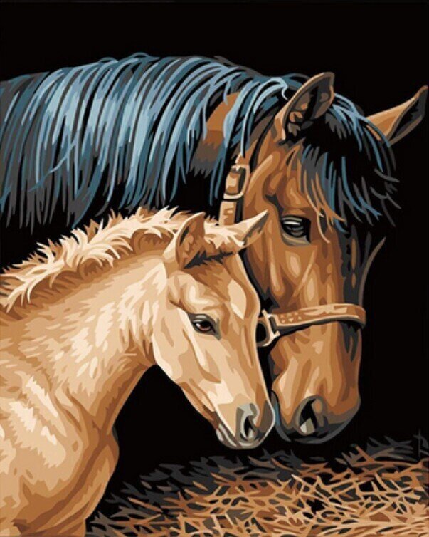 Peinture par numéros Gaira Peinture par numéros Les chevaux