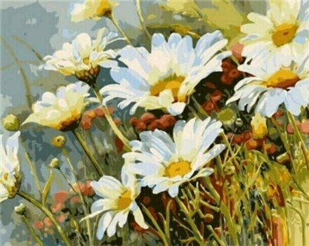Painting by Numbers Gaira Painting by Numbers Daisies 2 - 1