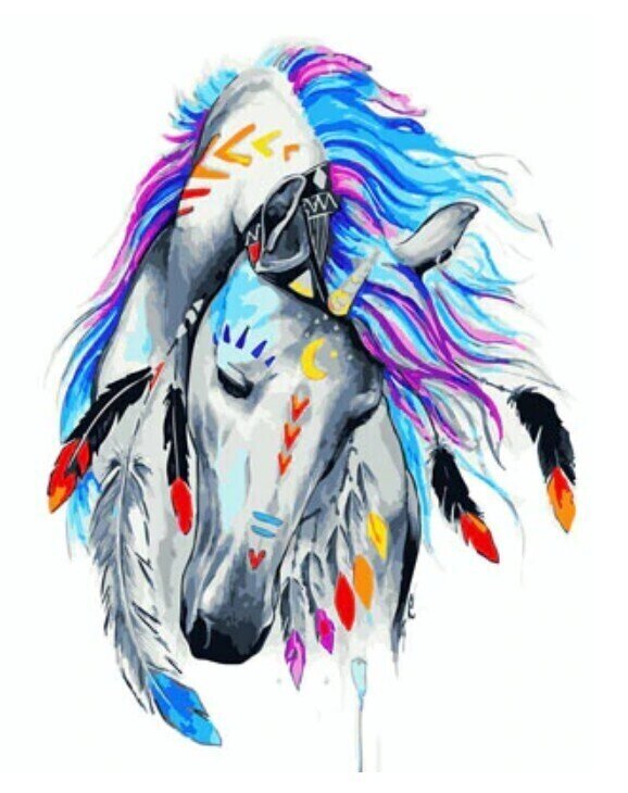 Painting by Numbers Gaira Painting by Numbers Indian Horse