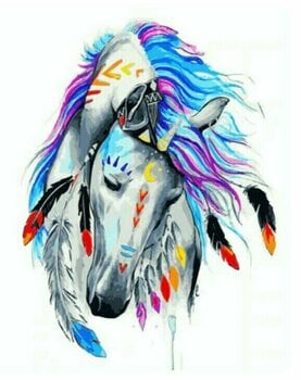 Painting by Numbers Gaira Painting by Numbers Indian Horse - 1