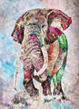 Gaira Peinture par numéros Éléphant 2