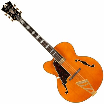 Semi-Acoustic Guitar D'Angelico Excel EXL-1 Vintage Sunburst - 1