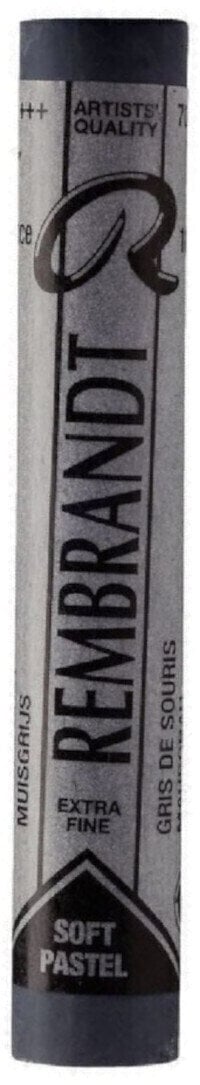 Pastel sec Rembrandt 31997077 Pastel sec Mouse Grey 7 1 pc