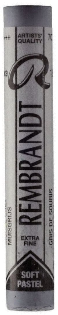 Pastel sec Rembrandt 31997079 Pastel sec Mouse Grey 9 1 pc