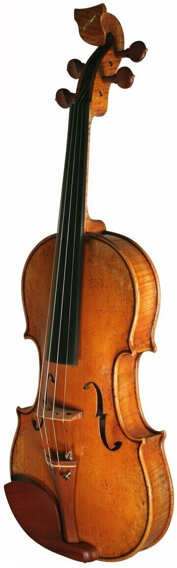 Elektrische viool Bridge Violins Golden Tasman 4 4/4 Elektrische viool