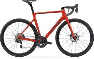 Basso Astra Disc 2021