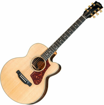 Guitare acoustique Jumbo Gibson Parlor Rosewood AG Antique Natural - 1