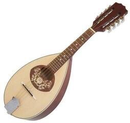 VGS 505395 Flat Mandolin Model 1