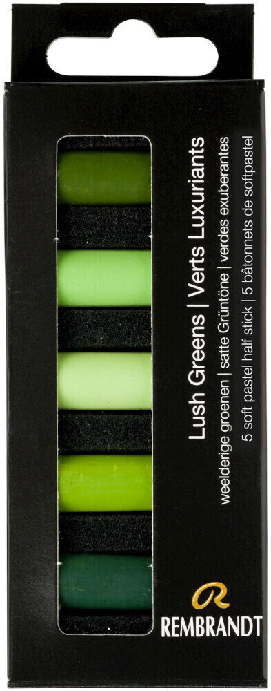 Suchý pastel Rembrandt Soft Pastels Sada suchých pastelů Lush Greens 5 ks