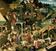 CD musique Fleet Foxes - Fleet Foxes (CD)