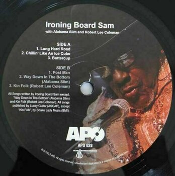 Vinyl Record Ironing Board Sam - Ironing Board Sam (LP) - 1
