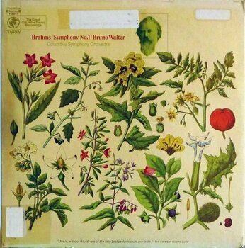 Disque vinyle Johannes Brahms - Symphony No 1 in C Minor (Reissue) (LP) - 1