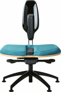 Muebles de estudio Neseda Premium Turquoise - 1