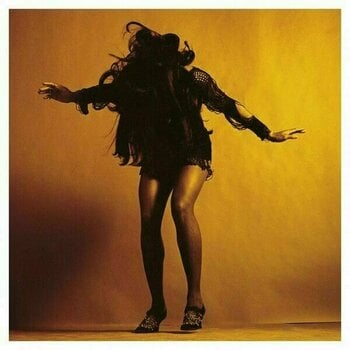 Vinyl Record The Last Shadow Puppets - Everything You've Come To Expect (LP) - 1
