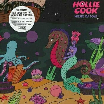 Vinyl Record Hollie Cook - Vessel Of Love (LP) - 1