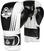 Box und MMA-Handschuhe DBX Bushido B-2v3A White/Black 10 oz