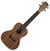 Koncertní ukulele Kala KA-PWC Koncertní ukulele Natural