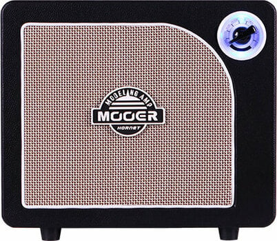 Modelling Combo MOOER Hornet - 1